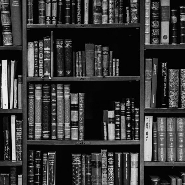 Law books on a shelf (greyscale)
